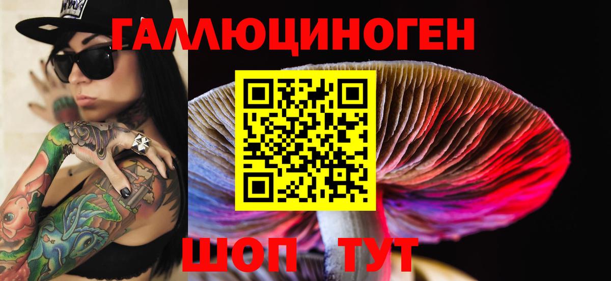 Галлюциногенные грибы MAGIC MUSHROOMS  Вход с VPN  Ростов Великий 