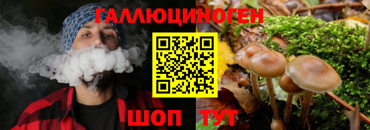 Псилоцибиновые грибы мицелий Ростов Великий