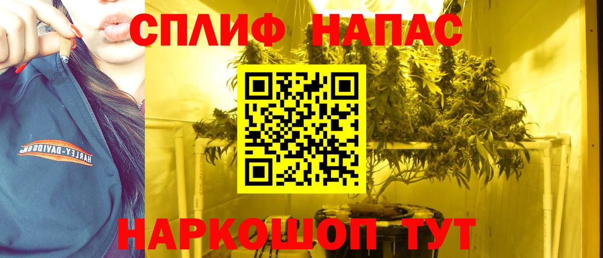 Бошки Шишки Ganja Ростов Великий